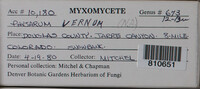 Image Associated With the Occurence